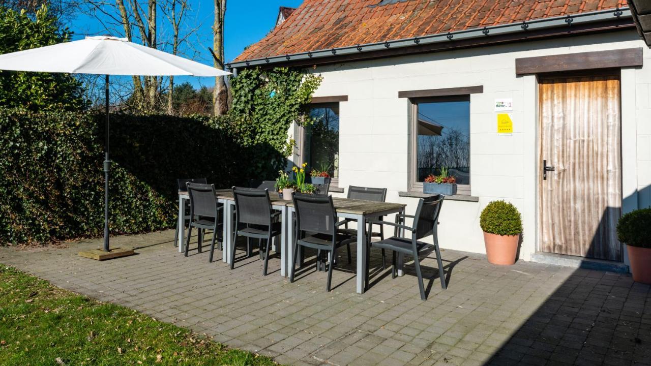 Vakantiehuis De Rieke 16 Personen Ronse Bagian luar foto